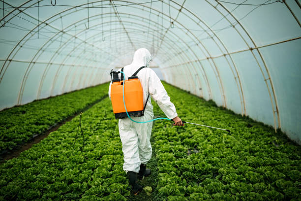 Best Pest Control Near Me  in Evansdale, IA