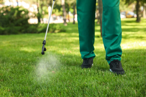 Wasp Removal Services in Evansdale, IA