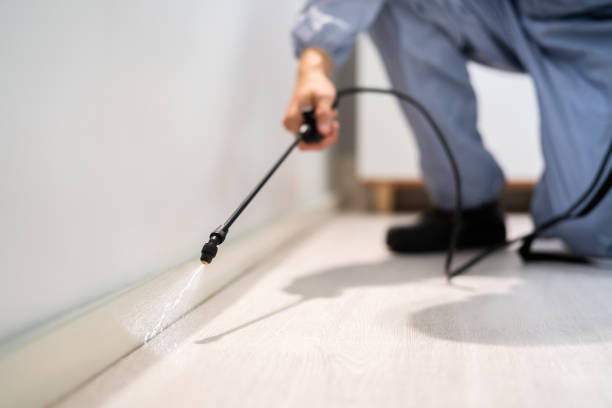 Best Emergency Pest Control  in Evansdale, IA