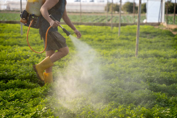 Best Affordable Pest Control Services  in Evansdale, IA