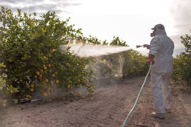 Best Exterminator Services  in Evansdale, IA