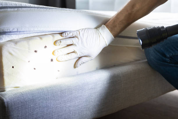 Best Pest Inspection Near Me  in Evansdale, IA