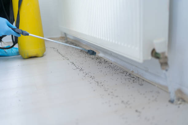 Best Commercial Pest Control Services  in Evansdale, IA