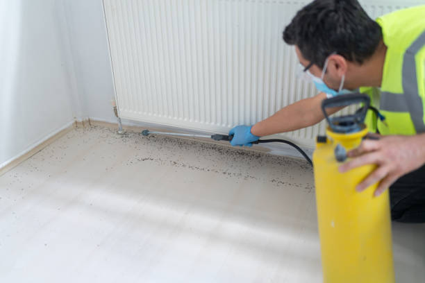 Best Best Pest Control Companies  in Evansdale, IA